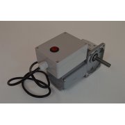 220v gear motor with constant 30 RPM
